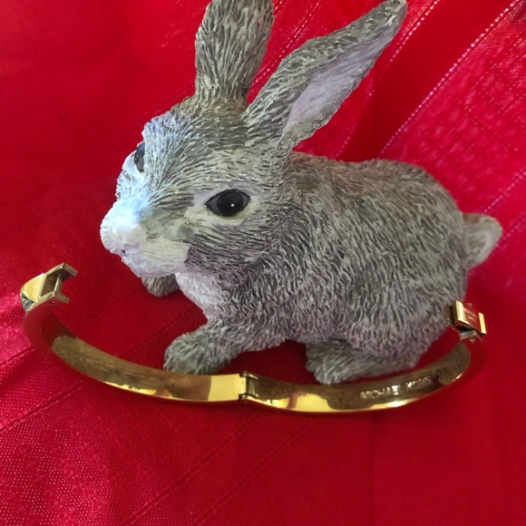 Michael Kors Crystal Adorned Bracelet - Picture 5 of 5